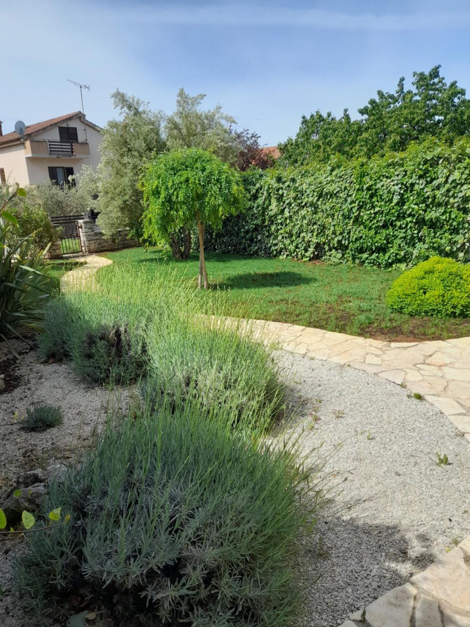 Salvia 4 Stars Apartment Poreč Kültér fotó